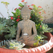 Statue Bouddha jardin posee dans une jardiniere de plantes succulentes — VITALIA PARIS